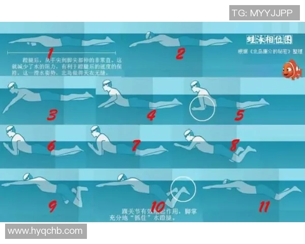 蛙泳技术提升与训练方法全解析 助力游泳水平快速突破