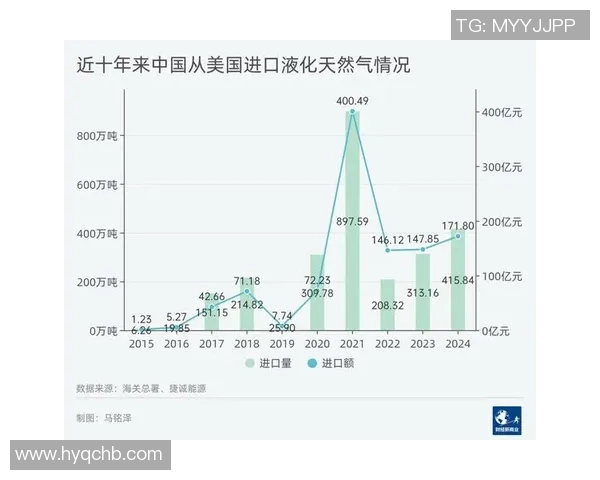 数据分析揭示LNG在全球能源转型中的关键作用与未来发展潜力